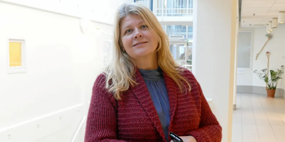 Norges forhandlingsleder fra Fiskeridepartementet Ann Kristin Westberg sier partene møtes igjen om to uke, men hun regner ikke med at det da blir nok tid til makrellforhandlinger.