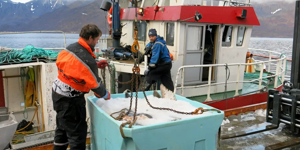 LEVERING: Enda et kar med iset kveite kommer over kaia hos Øksfjord Fiskeindustri. Mannskap Bjørn Egil Gamst (t.v.) tar imot mens «Syclon»-skipper Marius Albrigtsen styrer krana.