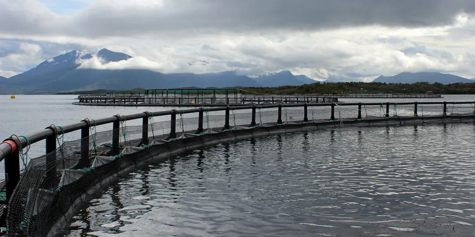 Cermaq driver lakseoppdrett en rekke steder i Steigen i Nordland.