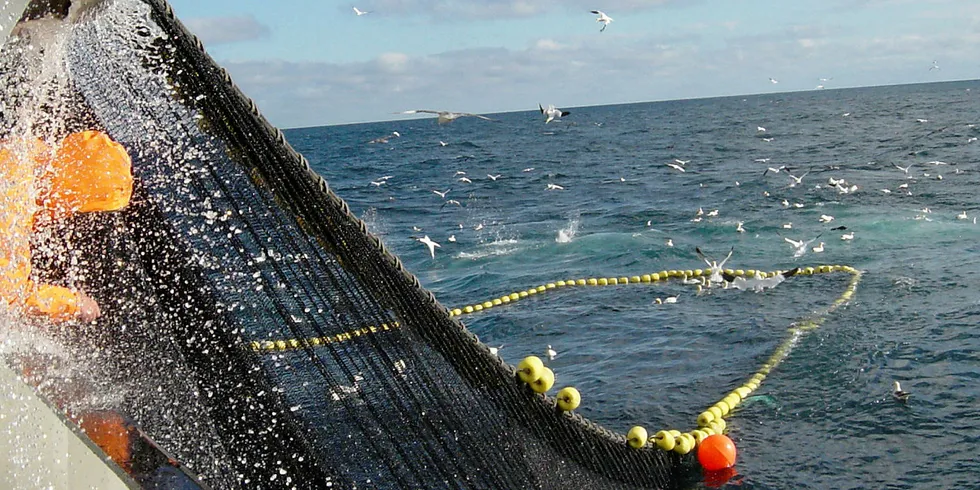 IKKE FISKE: Norske fiskere får ikke fiske lodde hverken i Barentshavet eller ved Island i år som i fjor.