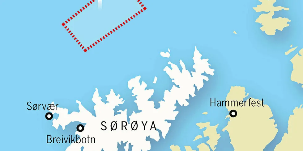 SIER NEI: Den rød boksen illustrerer hvor det er planlagt vindkraftanlegg utenfor Sørøya. Vest-Finnmark Kystfiskarlag går hardt ut mot planene.