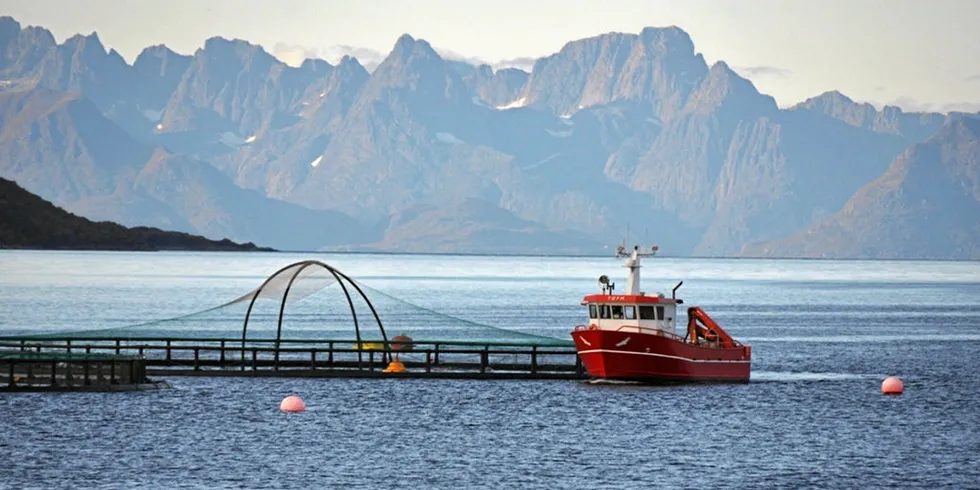 For store deler av Nordland er lokalforankrede oppdrettsselskaper selve grunnstammen i bosetting og bolyst ute i distriktet.