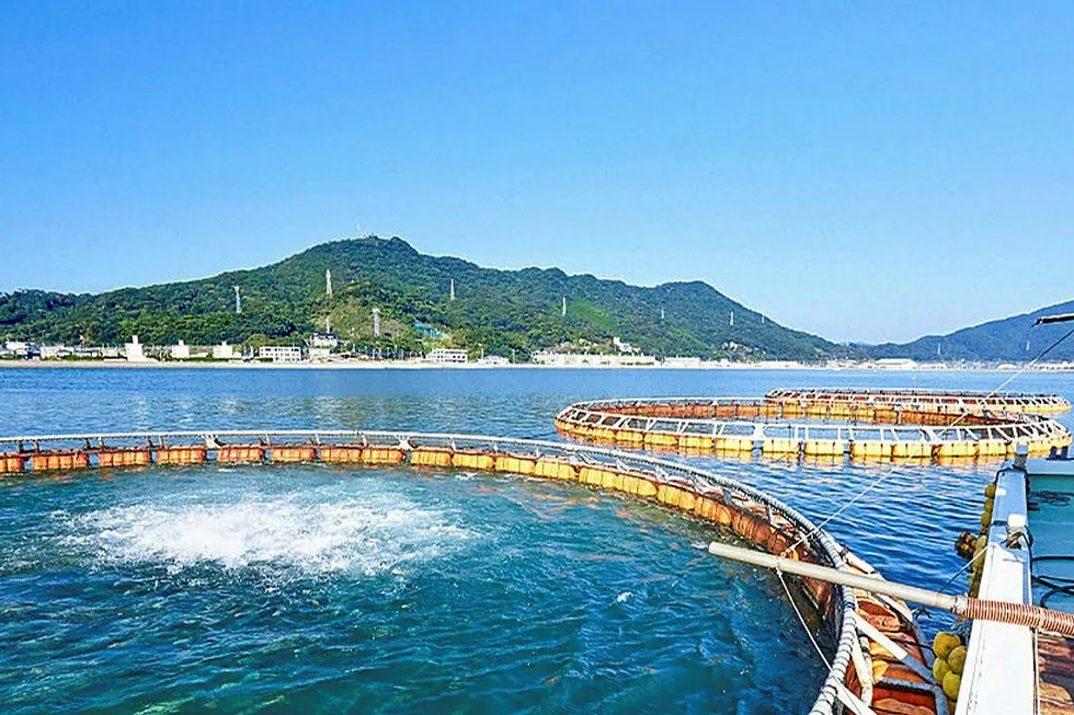 Hayashikane Sangyo produces aquafeed in Japan.