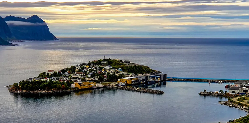 Husøysa i Senja får nytt fiskeriselskap.