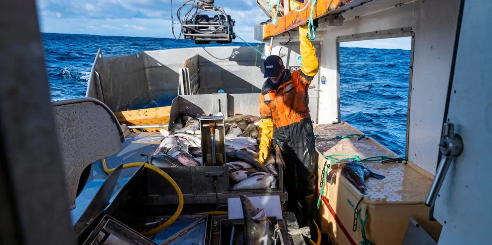 Meldinga blei ikke et oppgjør med fiskeripolitikken som har vært ført, skriver Jahn Petter Johnsen, professor, Norges fiskerihøgskole, UiT Norges arktiske universitet.