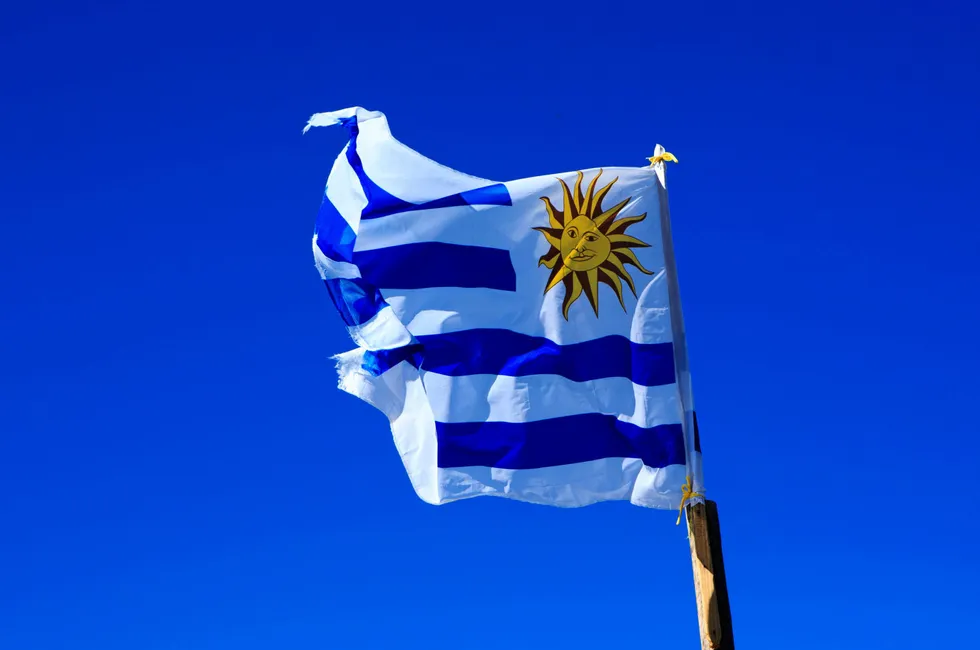 Wind and sun: The Uruguayan flag blowing in a strong breeze.