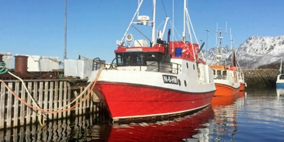 OMKOM: Fiskeren som eide sjarken «Bremholmen» omkom trolig som følge av at han ble dratt over bord av ile-systemet, mener Havarikommisjonen.