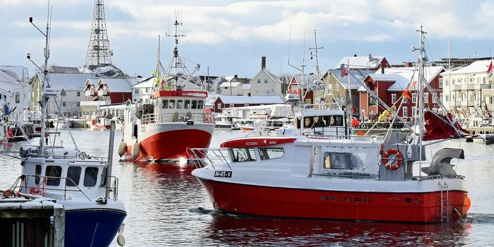 TRANGT: Det har vært trangt om plassen både på Lofothavet og her på havna i Henningsvær denne vinteren. Innsatsen har gitt god uttelling i kroner og øre for fiskerne.