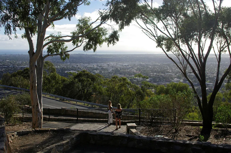Adelaide, as seen from Windy Point