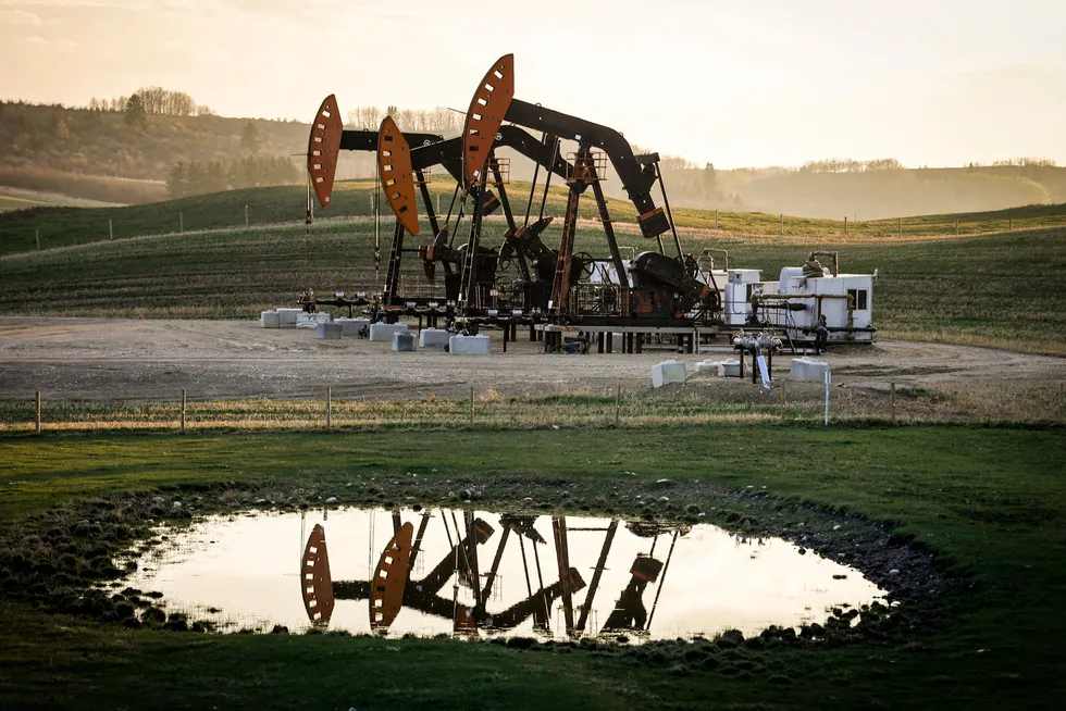 Pumpjacks draw out oil and gas from wellheads at an unknown field near Calgary, Canada.