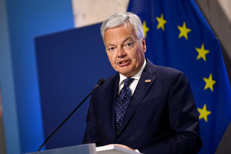 Didier Reynders, the acting competition commissioner, said cheap Chinese imports could threaten European businesses.