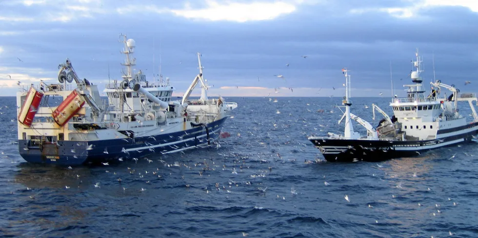 Den grunnleggende svakheten i forvaltningen av fiskebestander er at den er basert på kvotetak, men overholdelse av disse takene er udokumentert, skrive danse Mogens Schou.