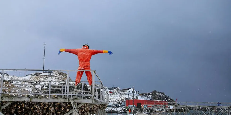 VISJONÆR: Sjømat Norge ønsker 50.000 nye arbeidsplasser i Sjømatnæringen de neste 11 årene.Foto: Silje Helene Nilsen