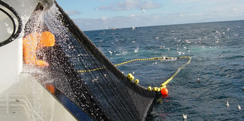 Nå er det klart hvor stor kvote den norske fiskeflåten får på makrell.