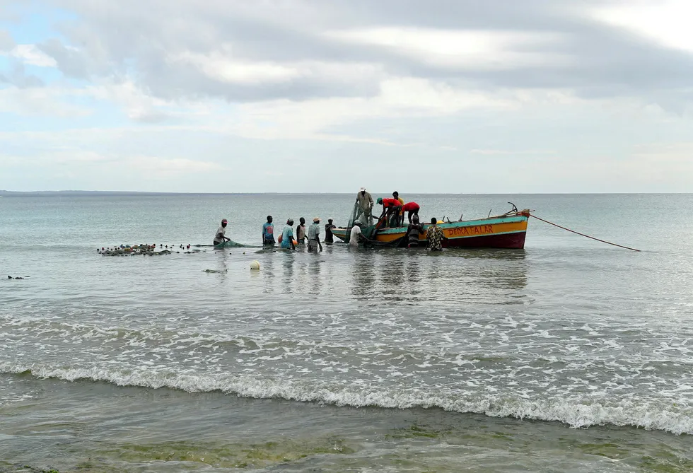 Net gains: fishermen in Pemba, north-east Mozambique