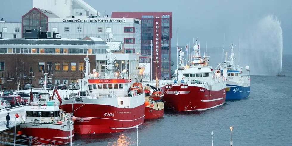 Flere båter hadde tatt en pause i sildefisket ved kai i Harstad. Her ligger fra venstre «Meløysund jr», «Storegg», «Raunefjord», «Bøen» og «Storvig». Foto: Jon Eirik Olsen