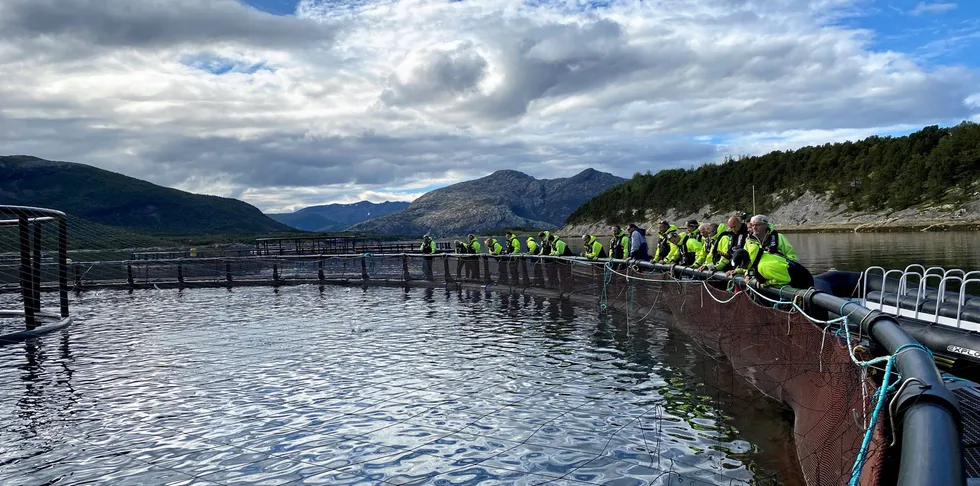 Her ser vi intersserte besøker visningslokaliteten Storevika, ikke langt fra Saltstraumen ved Bodø.