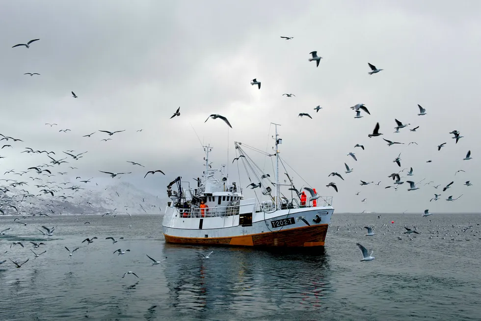 Medier har presentert skrekkscenarioer om hva som kan skje med fiskebestandene dersom en skulle tillate olje- og gassutvinning i Lofoten, Vesterålen og Senja, skriver artikkelforfatteren.