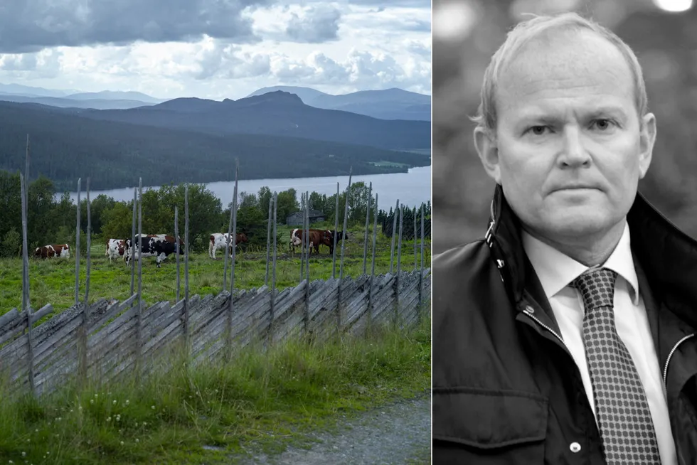 Erlend Follegg-selskapet Gondolin as som nå er konkurs, selger blant annet fritidseiendommer i Gålå i Gudbrandsdalen.