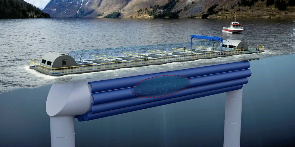 Leroy Seafood Group wanted to test its Pipefarm concept at three different locations along the coast. The project is one of 20 that have been given the green light to farm fish by the Norwegian government.
