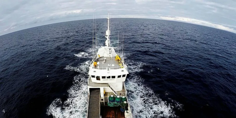 Den ombygde selfangstskuten «Northeastern» fisker nå snøkrabbe i Barentshavet.Foto: Sintef