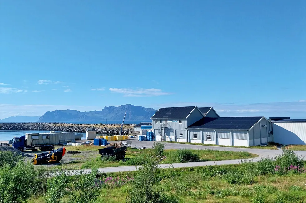 Årvikbruket AS i Årviksand på Arnøya. En tradisjonell fiskeindustribedrift som kjøper hvitfisk fra nærområdet og de nærmeste delene av Finnmark.