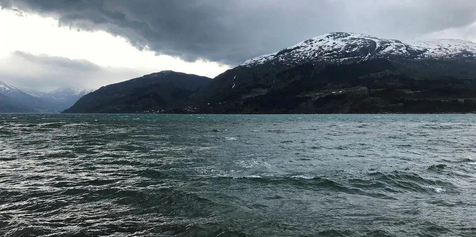 BRISLINGFISKE: Etter opninga har brislingfisket vore konsentrert om eit par av dei indre fjordarmane kring Utnefjorden i Hardangerfjorden.