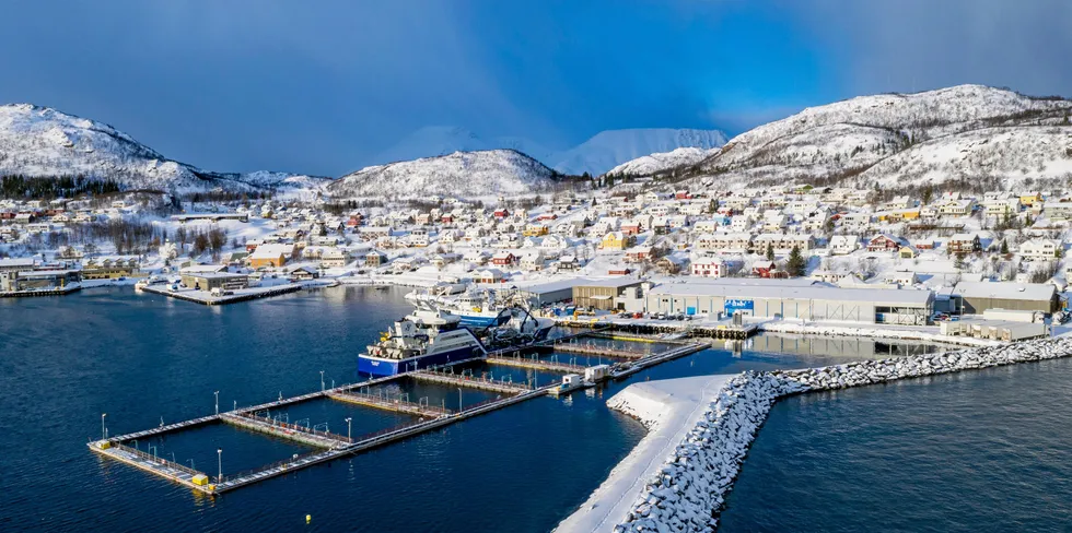 Lakseslakteriet til Lerøy Aurora på Skjervøy i Nord-Troms.