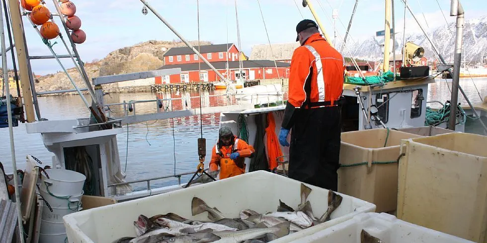 Omdømmet ødelegges med fiskejukset