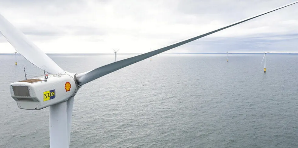 'We won't play the commodity green power game': why Shell is going its ...