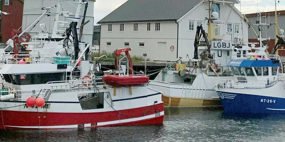 I KØ: De siste dagene har kystnotflåten ligget i kø for å losse makrell hos Lofoten Viking på Værøy. Her et glimt fra situasjonen torsdag formiddag.