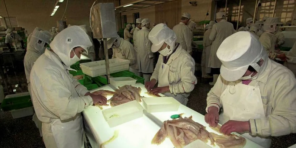 KINA: Her renses norsk fiskefilet for bein i Qingdao, Kina. Er det slik vi vil ha det, spør leserbrevskribenten.Arkivfoto: Tommy Hansen