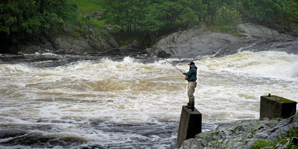 Lakseelva Tovdalselva, like nord for Kristiansand på en regnfull sommerdag.