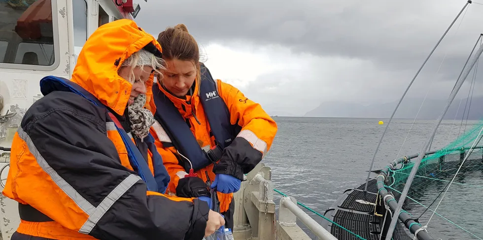 Fagsjef miljø og helse, Karoline Skaar Amthor (t.h.), i Sjømat Norge er en av stadig flere kvinner i norsk havbruk. På bildet står hun sammen med Camilla Skagen Sandvik i Previwo.