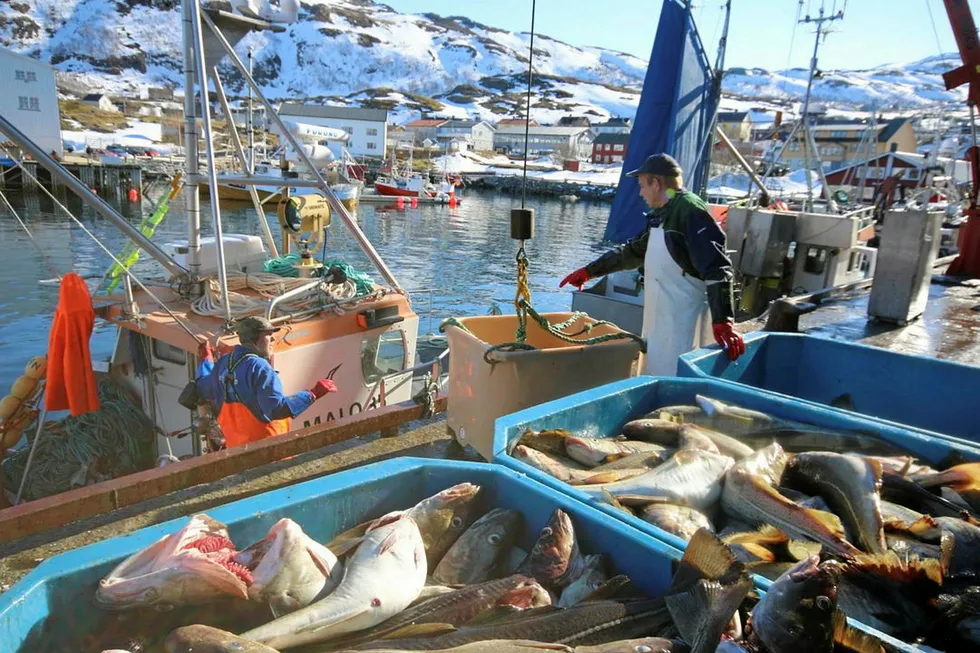 Nergard invests in two Norwegian whitefish companies