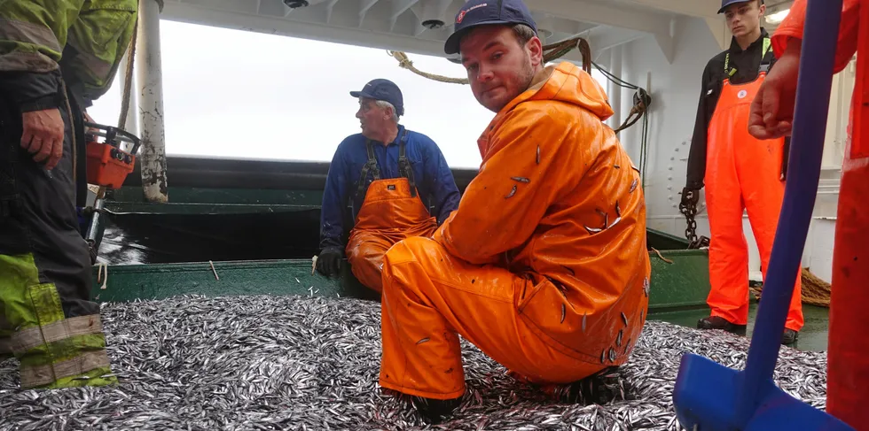 Tokt med ringnotsnurperen og tråleren «Birkeland» i forsøksfiske etter mesopelagisk fisk.