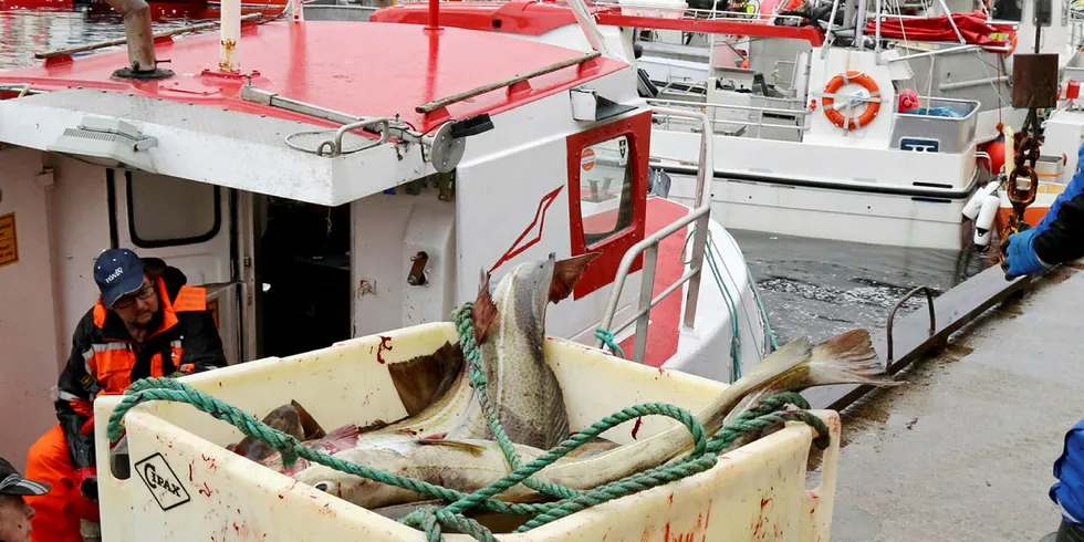 SIKRET: Formålet med garantilott er at fiskerne skal være sikret en minsteinntekt når en driver fiske.