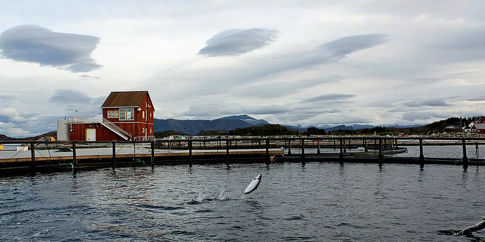 Laksen spretter - og venter på turistene i disse koronatider.