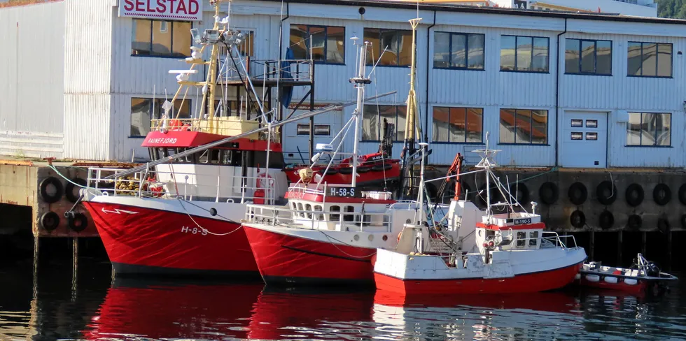 Hovedbåt og tv-kjendis «Raunefjord» fra Øygarden er her fotografert med kvotebåter ved kai i Svolvær i 2019. Går det som fiskerne ønsker, kan noen av de mindre båtene nå legges igjen hjemme som passive samfiskebåter.