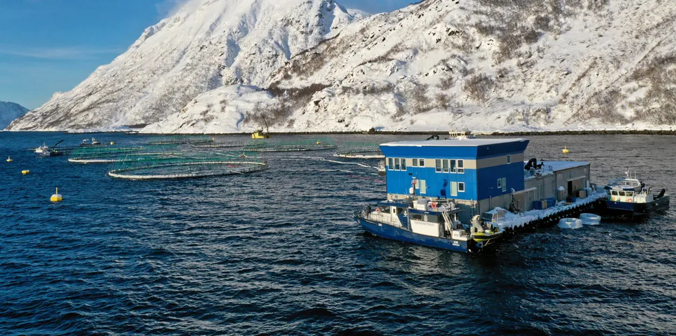 Bilde fra lokaliteten Davatluft til Grieg Seafood etter snøraset mandag.