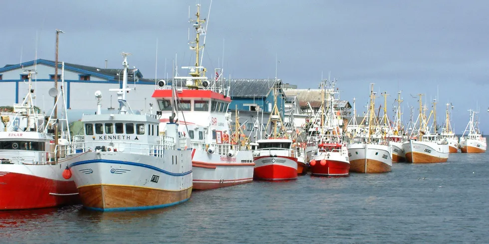 Fiskebåts leder advarer mot ressurskamp mellom flåtegrupper som han frykter kan ende med en «polsk riksdag». Her er kystflåten samlet i Berlevåg.