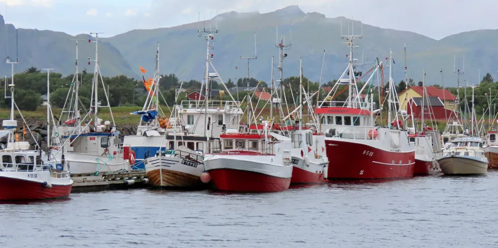 Fiskebåt mener kyst og hav oppnår best rammevilkår med å opptre samlet. Fiskebåt har stor respekt for dyktige fiskere både i kyst- og havfiskeflåten, skriver Fiskebåt i dette innlegget. Bildet er fra Steinesjøen i Vesterålen.