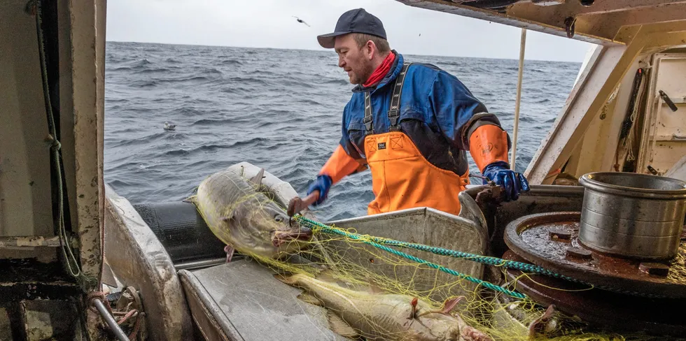 Mange fiskere mener praktiseringen av reglene om administrativ inndragning av fangst er urimelige. Illustrasjonsbilde er fra en sak der «Sjøfisk» ikke godtok en inndragning.