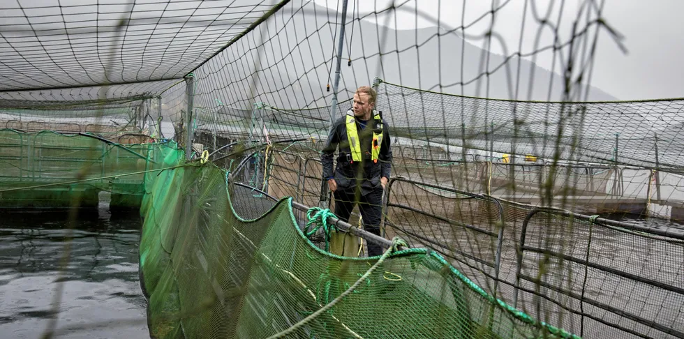 Frå ein sped start på 60-talet har Eide Fjordbruk i dag vokst seg til ein milliardbedrift. Her er Sondre Eide på smoltanlegget i Skogseidvatnet ved bedriftas hovudkvarter.