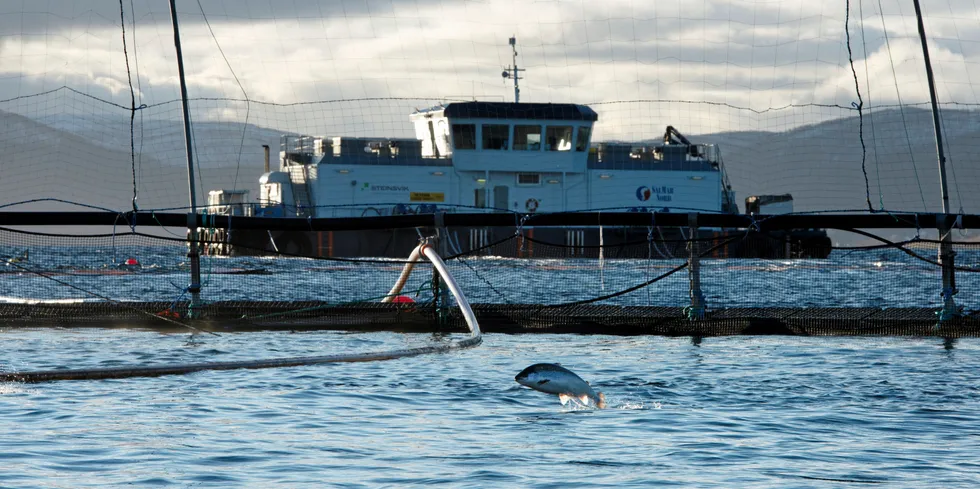 Her et glimt fra Salmars oppdrettsanlegg Skårliodden nord på Senja i Troms.