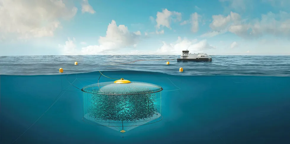 Atlantis Subsea Farming fikk mer lus enn ventet – på grunn av lusetelling.