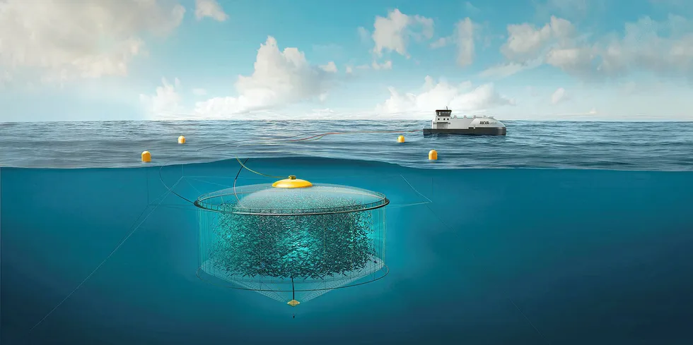 Atlantis Subsea Farming har hatt fisk siden mai i år, og resultatene så langt er gode.