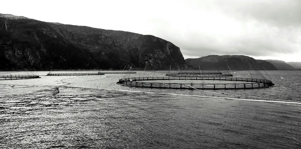 RØMMING: Her fra denne lokaliteten, Oksbåsen i Nordland, rømte det store mengder oppdrettslaks i juli. Nå må oppdrettsselskapet SinkabergHansen gjøre enda mer for å få tak i rømlingene har Fiskeridirektoratet bestemt.