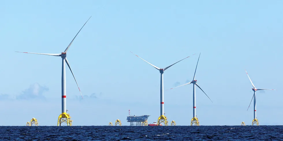 Iberdrola's Wikinger, the latest addition to the German offshore wind fleet