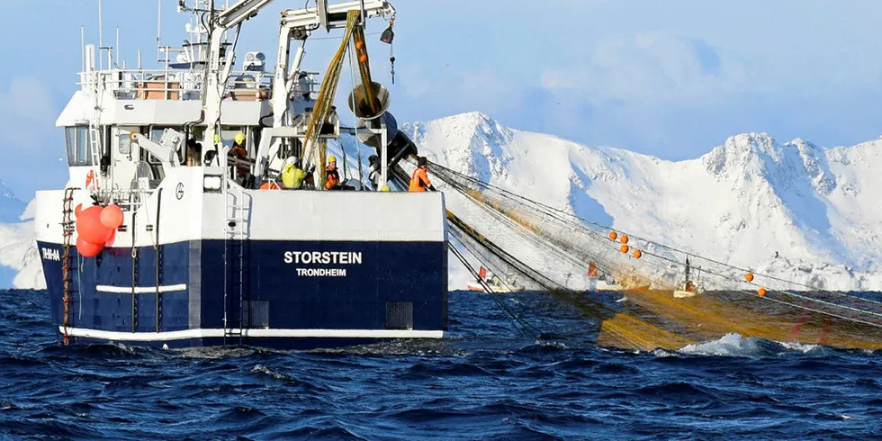 TRANGT: «Storstein» er en av snurrevadbåtene som har slitt med å finne ledige felt på Lofothavet de siste dagene. Her overvåkes fisket søndag av Kystvaktens «Heimdal».